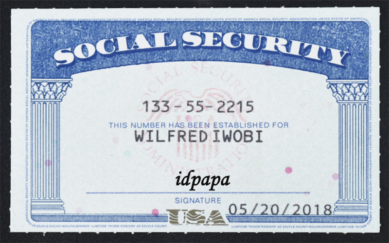 Social Security novelty driver's license featuring a man's photo, sample ID information, and the word IDPAPA near the bottom left